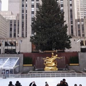 Meet your Posher, Rosemary